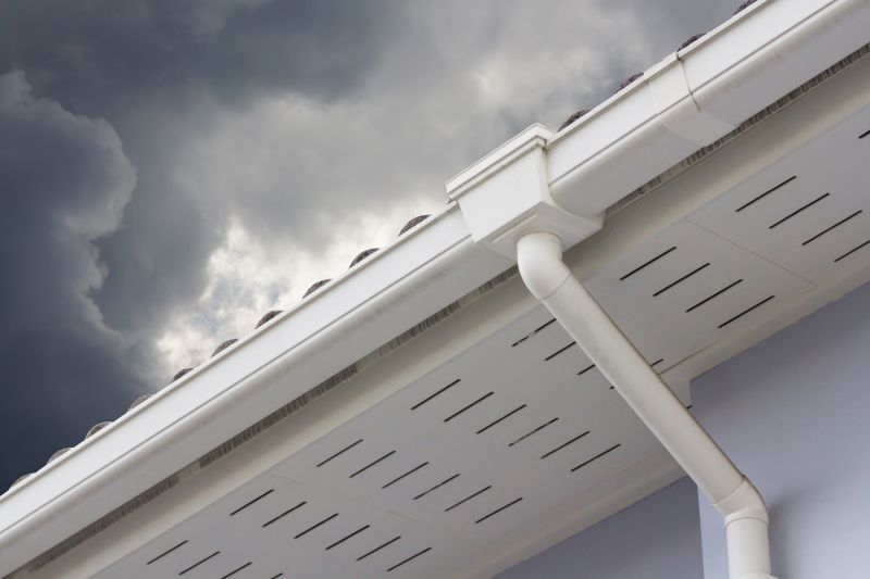 Gutter and Downspout Extensions